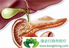 ����ҩ̩����/�����鵥�������Ƶ��Ұ���