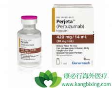 �ڹ������е������鵥��/�����������HER2�������ٰ��İ���ҩ