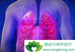 ������������EGFR���Ƽ����ӻ�����ҩ��ҩ