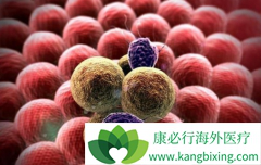 ������/������������˳���ĸ���������ͷ�����۰�Ч���ã�