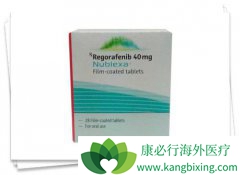 û�и����·�����Ļ��߽������������Ƶ��޽�չ����������