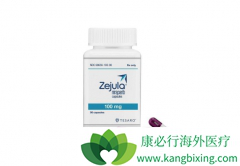 PARP���Ƽ�����������Zejula���������й�����