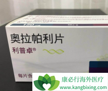 PARP���Ƽ���������/��������������Ӧ֢������ʱ��