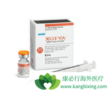 ��ŵ����(XGEVA)�ܷ�Ԥ����ת����ǰ���ٰ����ߵļ�����չ��