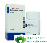 ӡ��¬��˹�����ķ��ư���������/��̹��ҩƷ�������б�����