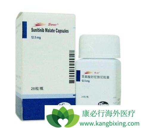 舒尼替尼 舒尼替尼