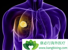 ��������(Brigatinib)����Ч��������߶�Խ������