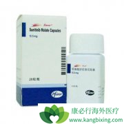 ��̹/��������������ϸ�����ܹ�����PFS�ͻ�����������