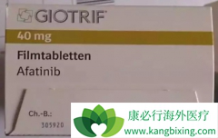 C797Sͻ��Ҳ�ǵ��°�������(Afatinib)��ҩ��ԭ��֮һ