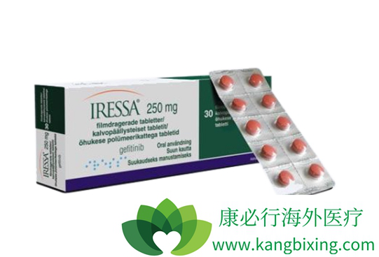 酪氨酸激酶抑制剂 酪氨酸激酶抑制剂