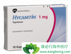 �������濵Ϊ�����Ļ���ҩ����Сϸ���ΰ����Ƶ���Ҫ�Ʒ�