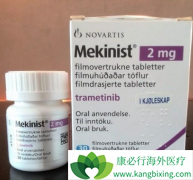 ������������T-VEC�����߼������Ƽ����ƺ�ɫ�������ߵ���Ч��ô����