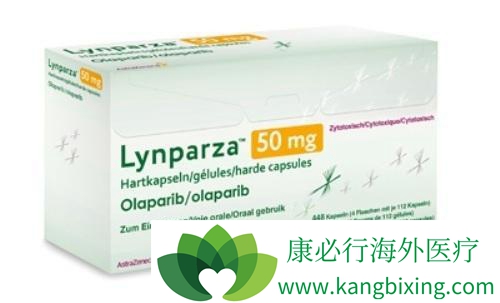 奥拉帕尼 奥拉帕尼