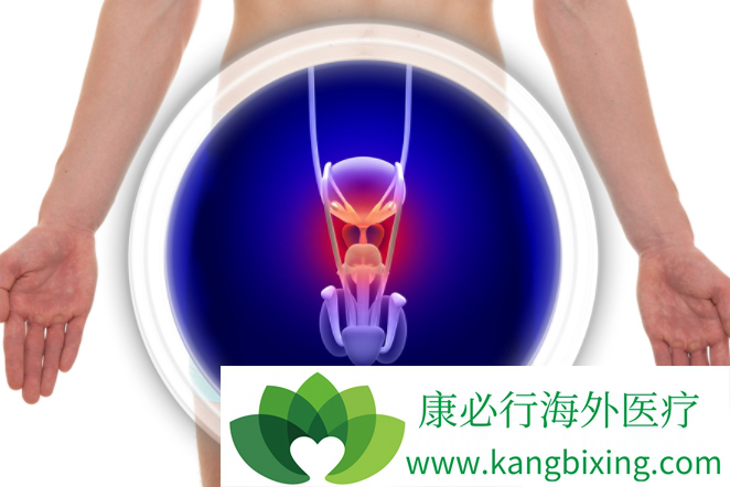 摄护腺癌 摄护腺癌