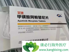 ������������EGFR���Ƽ��ܽ�һ���ӳ����ߵ���������