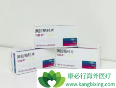 ���ٰ�ȫ�°���ҩ��PARP���Ƽ���������/����׿�Ѿ��ڹ�������