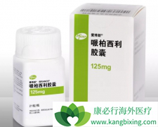 �߰������������ᶼ�����ٰ�CDK4/6���Ƽ�ҩ��