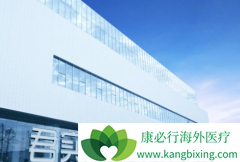 ���ں�ɫ�����ǹ���PD-1��������/������������ע��Һ���׸���Ӧ֢