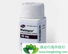 ����EGFR-TKI������ᣨVizimpro����ĿǰEGFRͻ��ΰ���һ������ҩ��