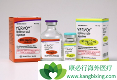 CTLA-4���Ƽ��Ĵ���ҩ����Yervoy��Ipilimumab��