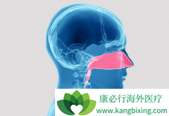 �������������ϰ���ҩ��Ϊ���ʰ����ƴ����µ�ѡ��