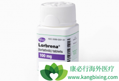 ���˿���������lorlatinibҲ��������ROS1���Եķΰ�����