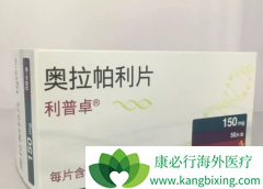 �����������׸���������BRCAͻ�������ѳ���һ��ά�����Ƶ�PARP���Ƽ�