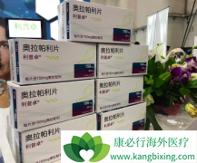 �ڹ������е�PARP���Ƽ����������ǽ��һ���Ƭ����