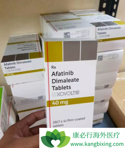 阿法替尼 阿法替尼