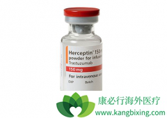 �����鵥�����������鵥����Ч����T-DM1��������ĸ��ã�