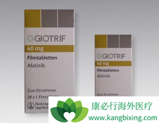 ����������ҩ������HER2ͻ��󰢷���������Ч������