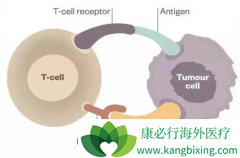 �������鵥�����ƻ�����ܰ������ߵ���Ч��ô����