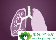 �ΰ����߹������ÿ�����(Conmana)�������Щ������Ӧ��