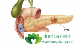 ���������Ͱ׵�����ɼ�����������ٰ������ƻ�ʯ