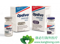 �������ȵ������������鵥�������Ѿ��ڹ������е�PD-1�������Ƽ�