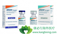 PD-1���Ƽ��������ȵ�������Сϸ���ΰ����ߵ�Ч����ô����