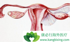 ����ҩ�����������ѳ�����������ҩ��֮һ