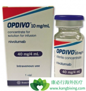 Ŀǰ�ڹ������е�������������ҩ��PD-1���Ƽ�������Щ��