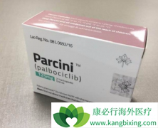 ��������(PALBOCICLIB)ƥ��ɶ����Ʒ��ɼ��ٴ󲿷ֻ������ڵİ�ϸ��