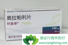 �����ڹ������е�PARP���Ƽ�����������˹����ѳ�������ҩ�հ�