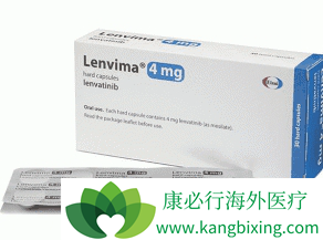 �ط�����