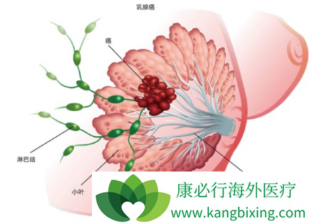 ���ٰ�����