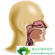 ���ʰ�������벡�����������кܴ��ϵ