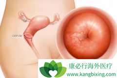 �����������ܻ��ã��������������ƹ�������ҩ����