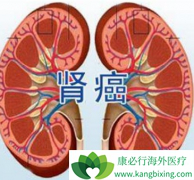 �����������ѡ���������ҩ����ܱ�֤������󻯣�