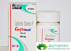 TKIs�ĳ���ʹ������ϵ��Ѫ��CML��Ϊһ���ٴ��������ļ���