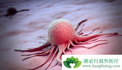 ����������ӳ�������������֯�������ߵ��޽�չ������