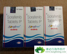 ӡ����������/�༪���ڼ۸��ҩƷ�����ϸ��߾�����