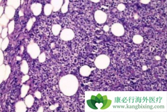 �����������������Դ�Bϸ���ܰ�����������ʲô���ã�