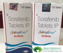 ������������/������������Ҫ���ڽ��з�Ӧ����